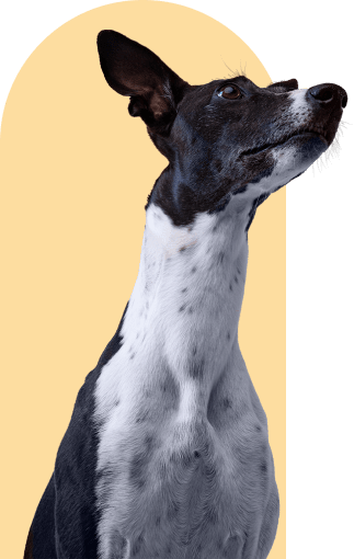 demo-attachment-112-Group-70